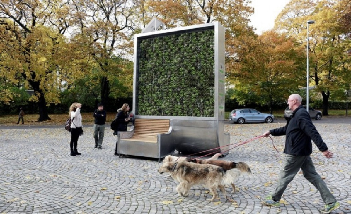 imagen El árbol que absorbe la contaminación del aire como si fuera un bosque