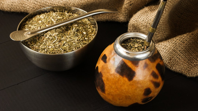 imagen Día Nacional del Mate: destacan aportes nutricionales y su impacto positivo en las emociones