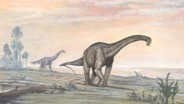 imagen Tras las huellas del dinosaurio