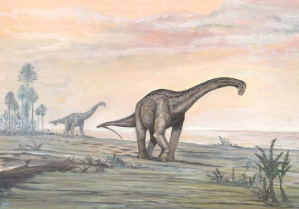 imagen Tras las huellas del dinosaurio