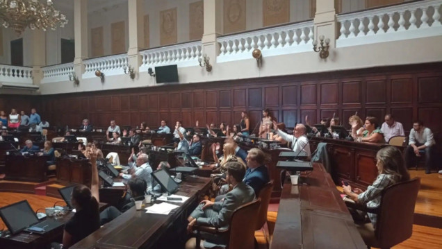 imagen Juran 127 diputados y diputadas: quiénes representan a Mendoza en el Congreso