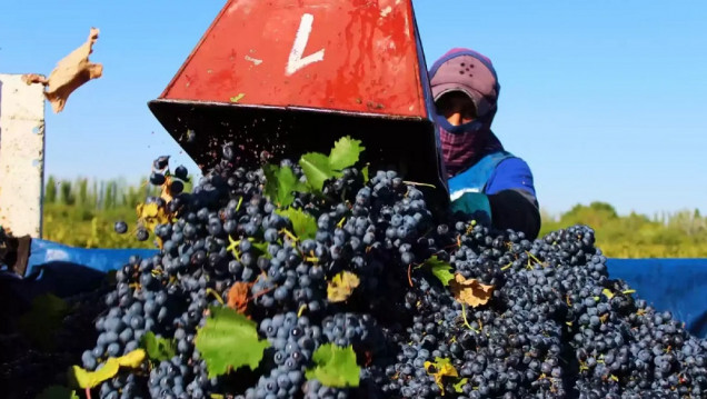 imagen Sergio Massa anunció un "dólar agro" a $300 para la soja y las economías regionales