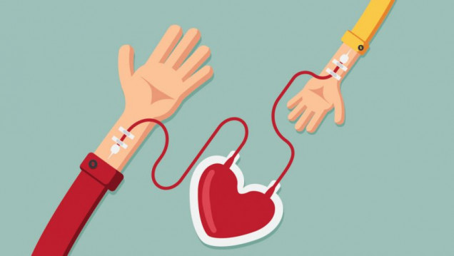 imagen Cómo y dónde podés donar sangre en Mendoza