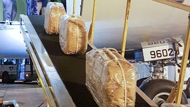imagen Narcoescándalo con Rusia: detuvieron en Alemania al "Señor K"