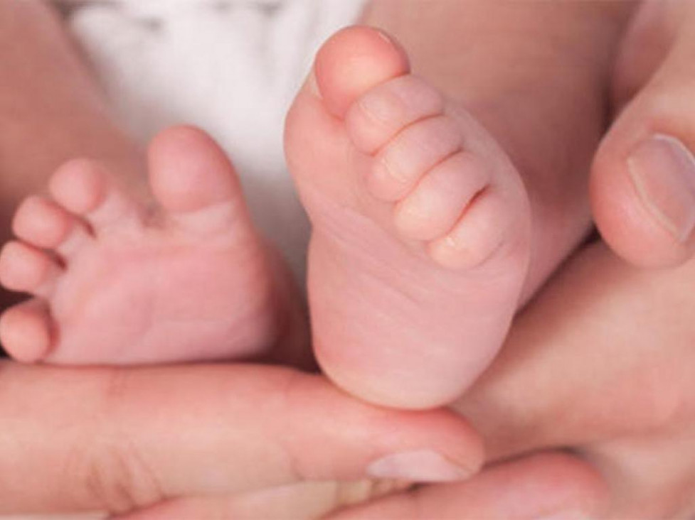 imagen Los hijos de la adicción