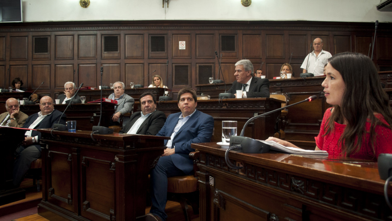 imagen Sin despeinarse, los senadores aprobaron el financiamiento para las PASO