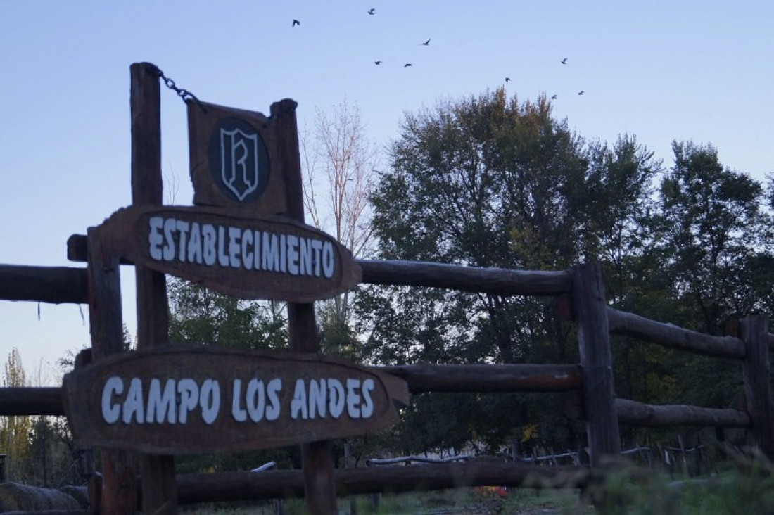 imagen La Nación insiste con la venta de terrenos de La Remonta
