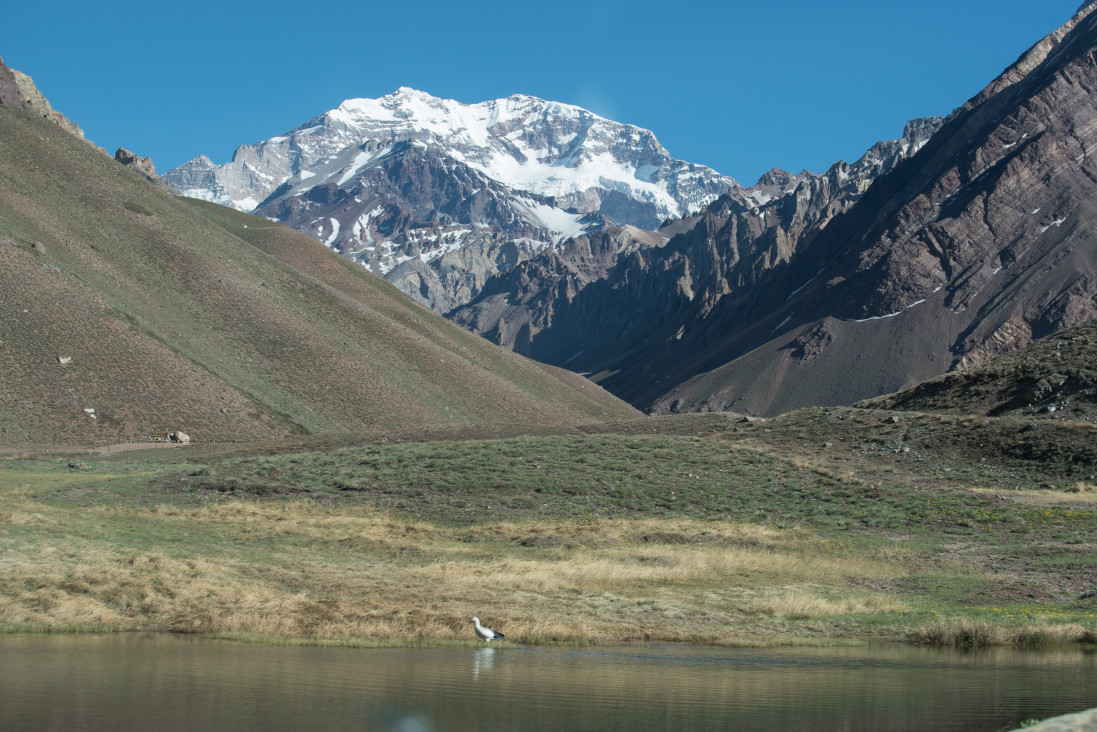 imagen Se cobrará por los rescates en el Aconcagua