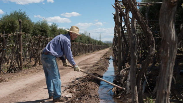 imagen ¿Qué factores determinan el precio de una finca cultivada en la cuenca del río Mendoza?