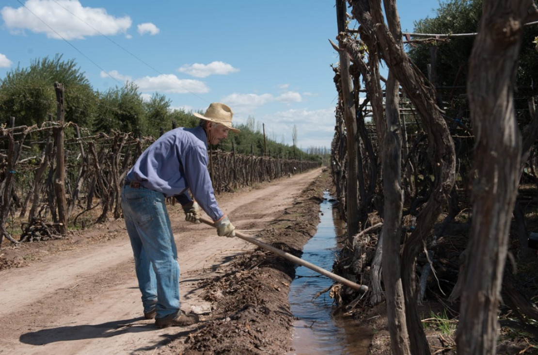 imagen ¿Qué factores determinan el precio de una finca cultivada en la cuenca del río Mendoza?