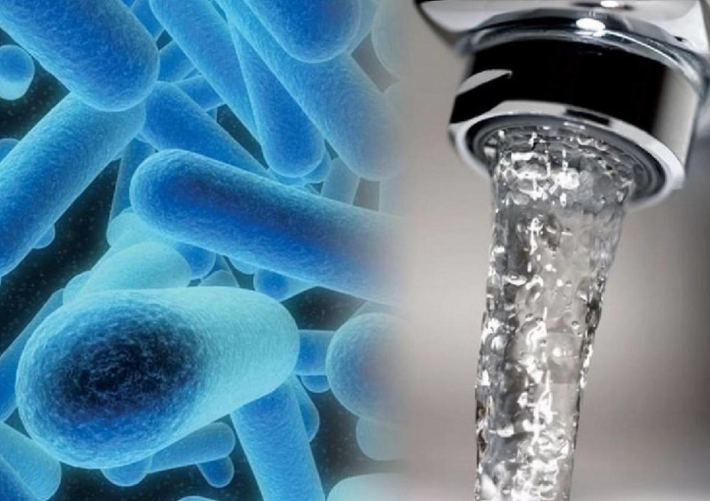 imagen Legionella, la bacteria que obliga a controlar los sistemas de climatización y el agua en hospitales