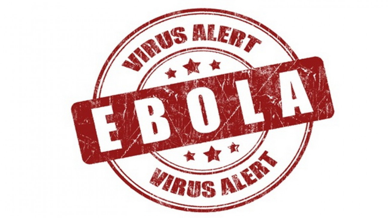 imagen Argentina declaró la alerta epidemiológica por el ébola