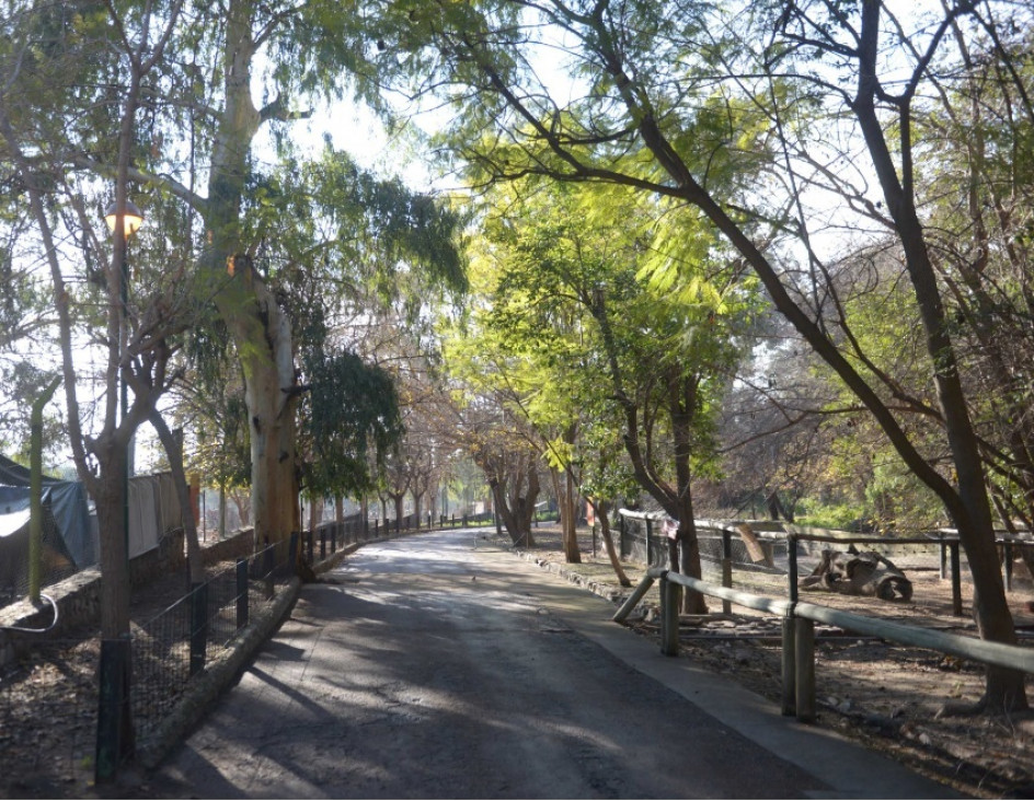 imagen Ecoparque: realizarán en julio la licitación para concretar la obra
