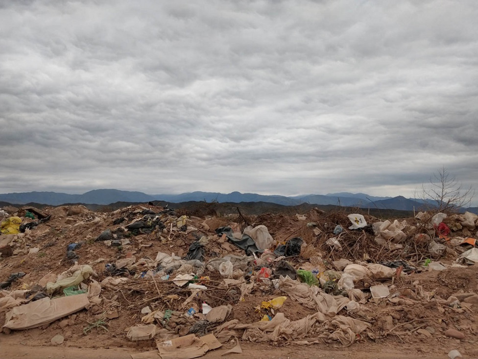 imagen Así es el plan para reforestar El Pozo