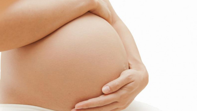 imagen Según el Comité de Bioética de la UNCUYO, "la primera forma de vida humana es el cigoto"