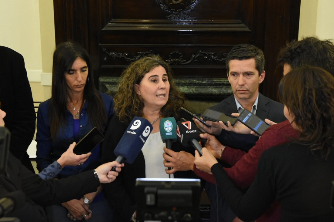 imagen Mendoza busca declarar la emergencia sanitaria por la falta de anestesistas