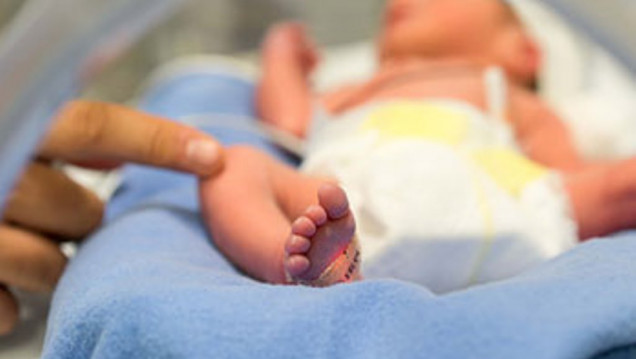 imagen Qué hace el Estado cuando los bebés son abandonados
