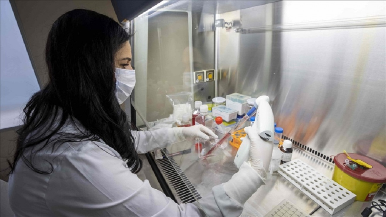 imagen Viruela del mono y hepatitis desconocida: ¿surgen más enfermedades raras o solo les prestamos más atención?
