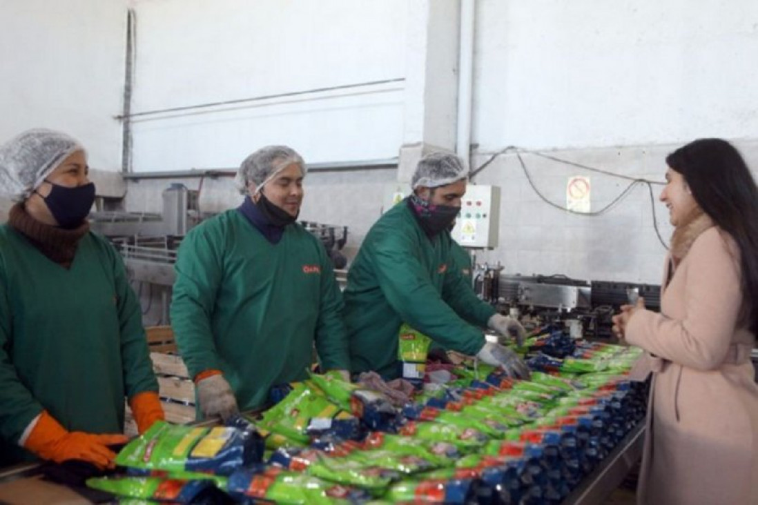 imagen Cómo alcanzar las prácticas laborales de $ 7 mil del programa Mendoza Activa