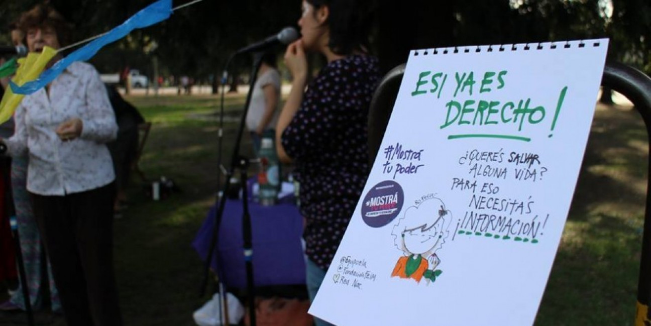 imagen Amnistía lanzó una campaña pidiendo por la Educación Sexual Integral