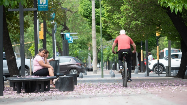 imagen La Ciudad de Mendoza es una de las jurisdicciones con mayor predominio femenino del país