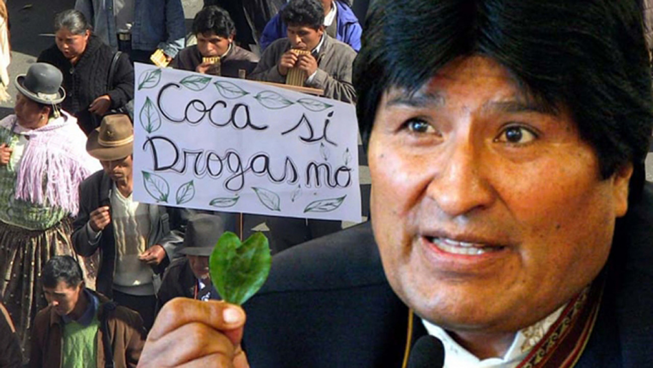imagen La mama coca: alimento, medicina y resistencia cultural 