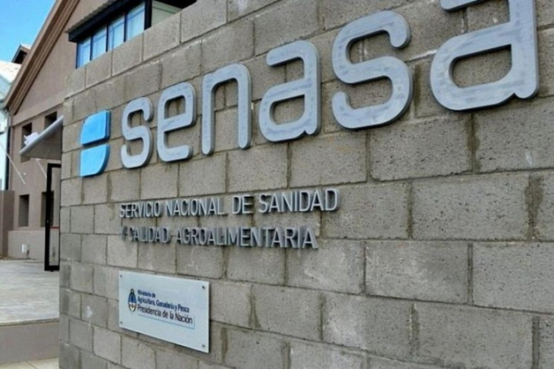 imagen ATE Mendoza en alerta por otros posibles "despidos" en SENASA