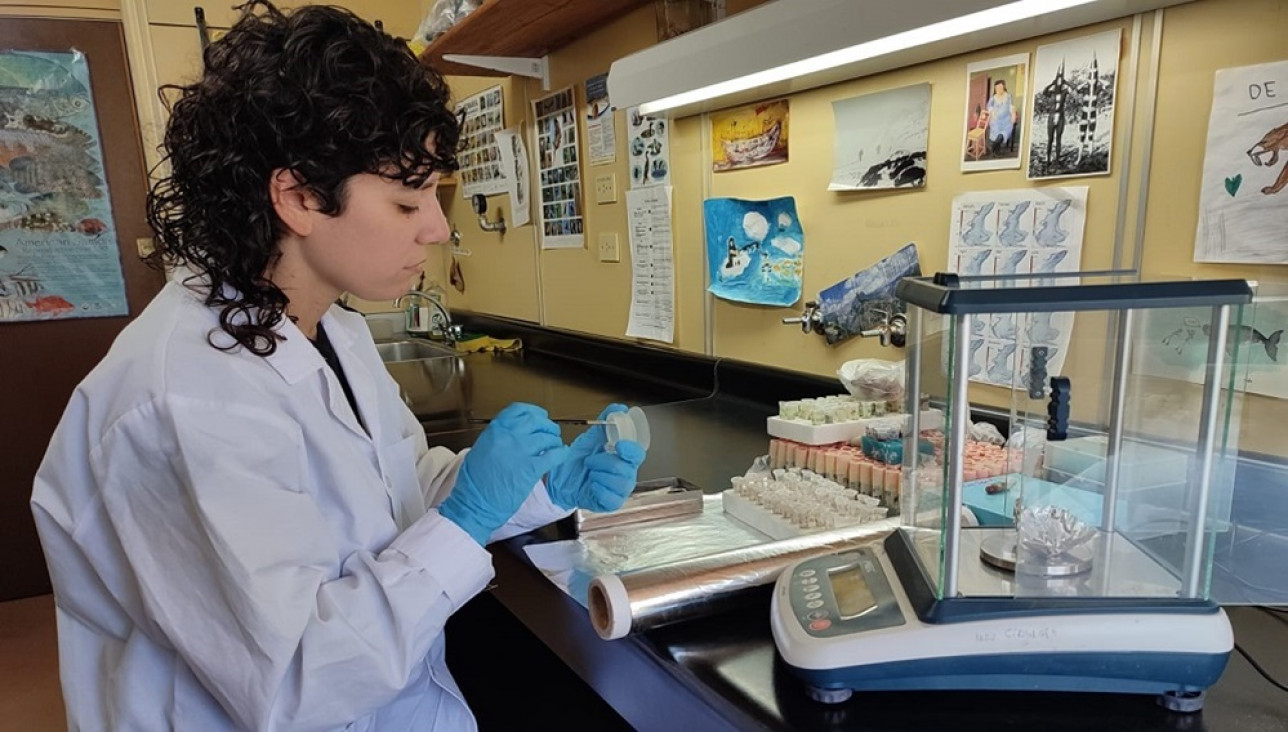 imagen Un equipo del Conicet desarrolló una herramienta para detectar el origen de organismos en el mar Argentino