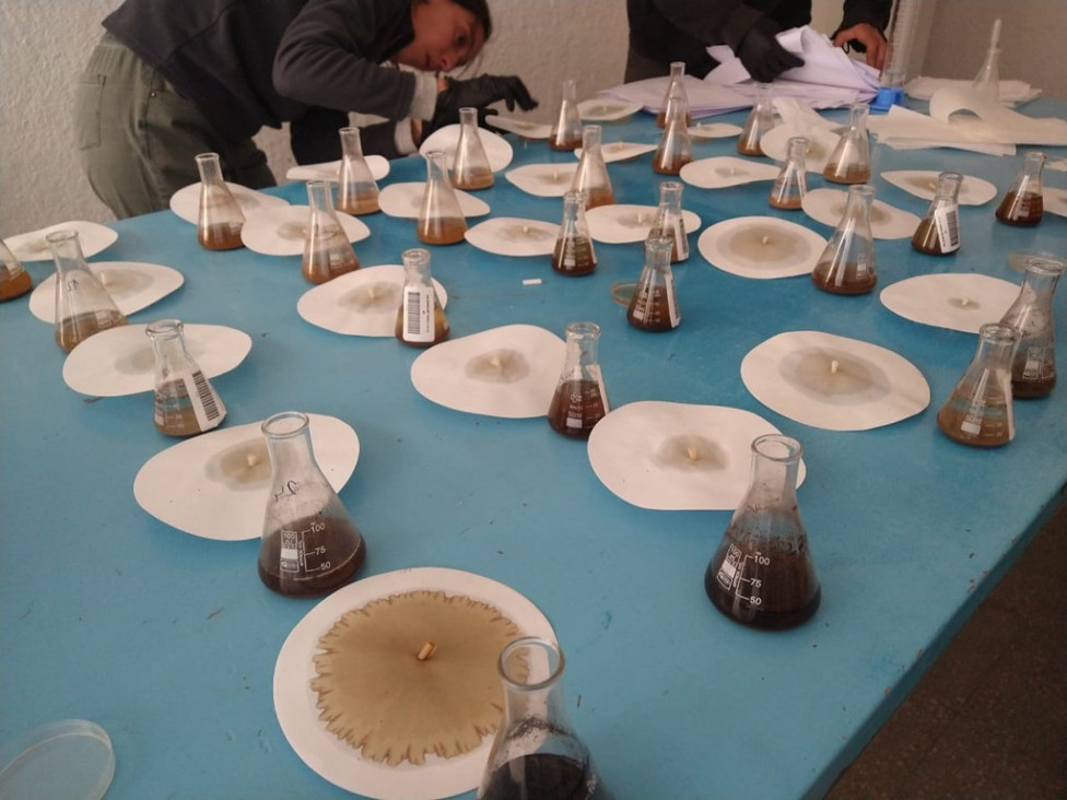 imagen Historias atravesadas por el arte en la Plaza Independencia