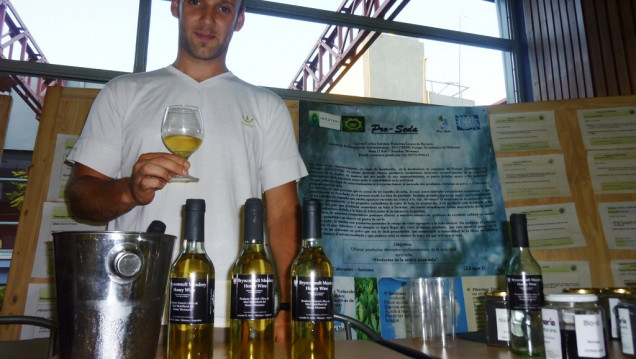 imagen Qué es el "vino de miel" o la apicultura del futuro