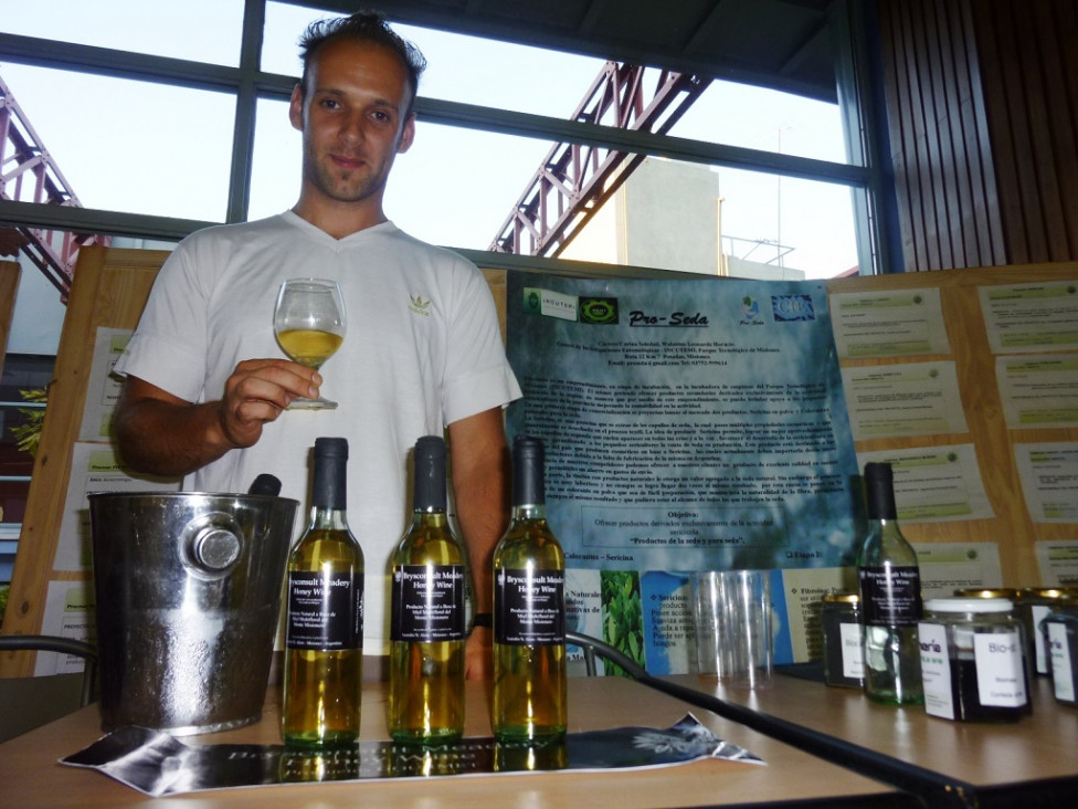 imagen Qué es el "vino de miel" o la apicultura del futuro