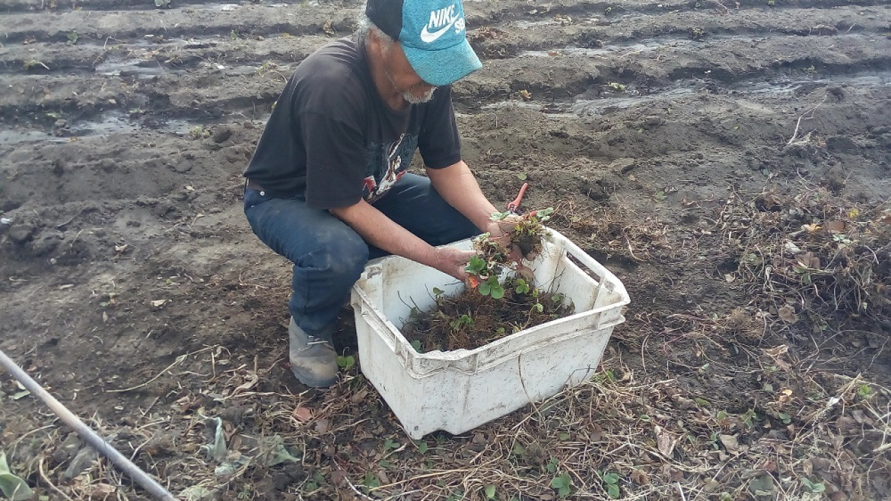 imagen Familias campesinas resisten el desalojo de las tierras en que producen hace 20 años