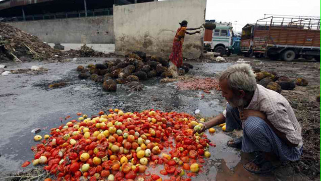 imagen Latinoamérica podría erradicar el hambre con los alimentos que desperdicia