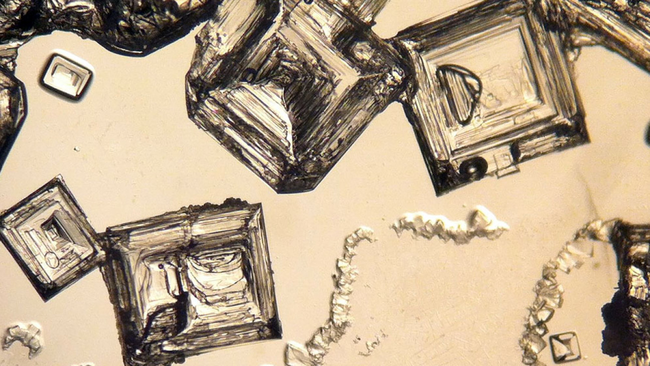 imagen Cristal de sal, la puerta para pensar en transportar vida microscópica a otros planetas 