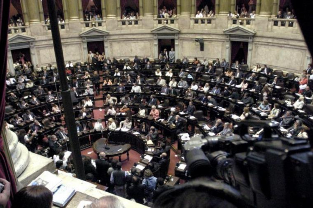 imagen Comenzó la sesión para debatir el proyecto de normalización de la deuda