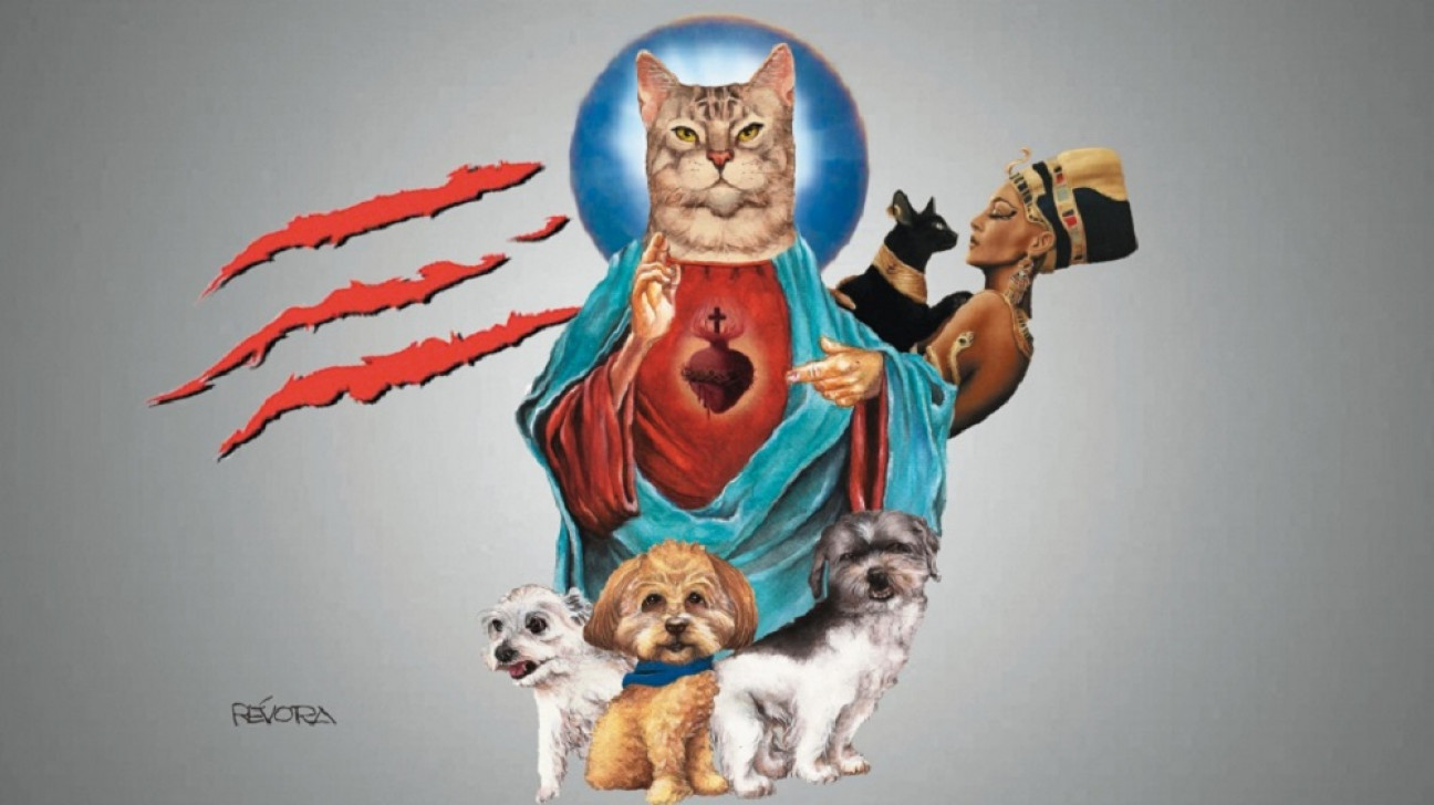 imagen El estudio sobre gatos, la vedette de la ciencia etológica: mitos y prejuicios bajo la lupa