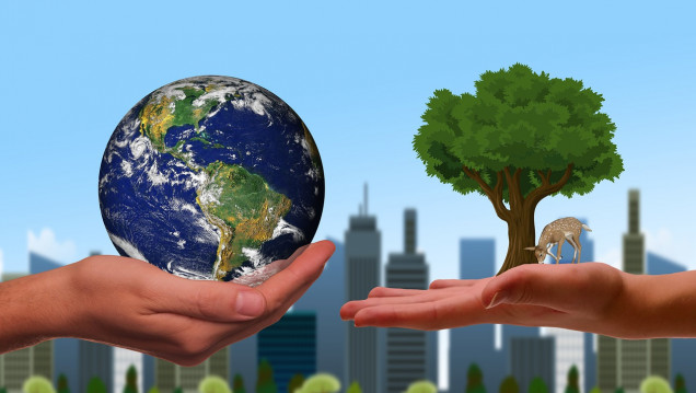 imagen Qué se puede hacer para cuidar la biodiversidad desde los hogares