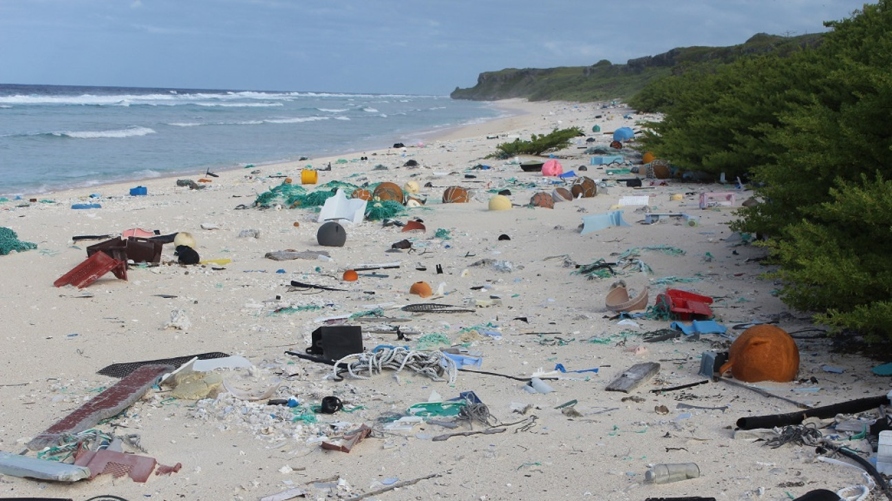imagen No es la Bristol, es la playa Henderson 