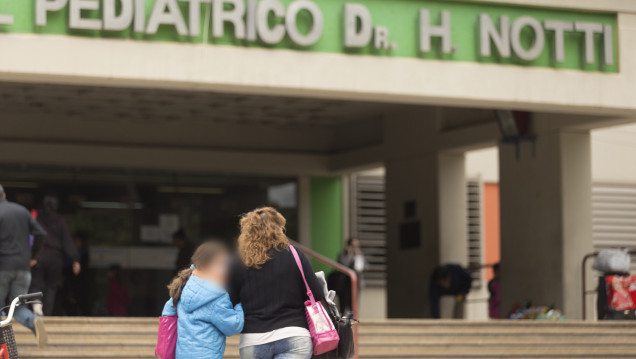 imagen Detectaron en el Notti una bacteria que nunca circuló en Mendoza