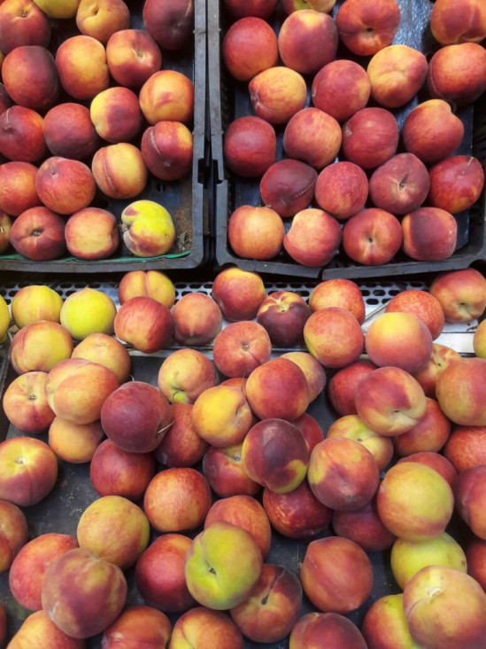 imagen Frutas de carozo: mapa interactivo para saber dónde comprar