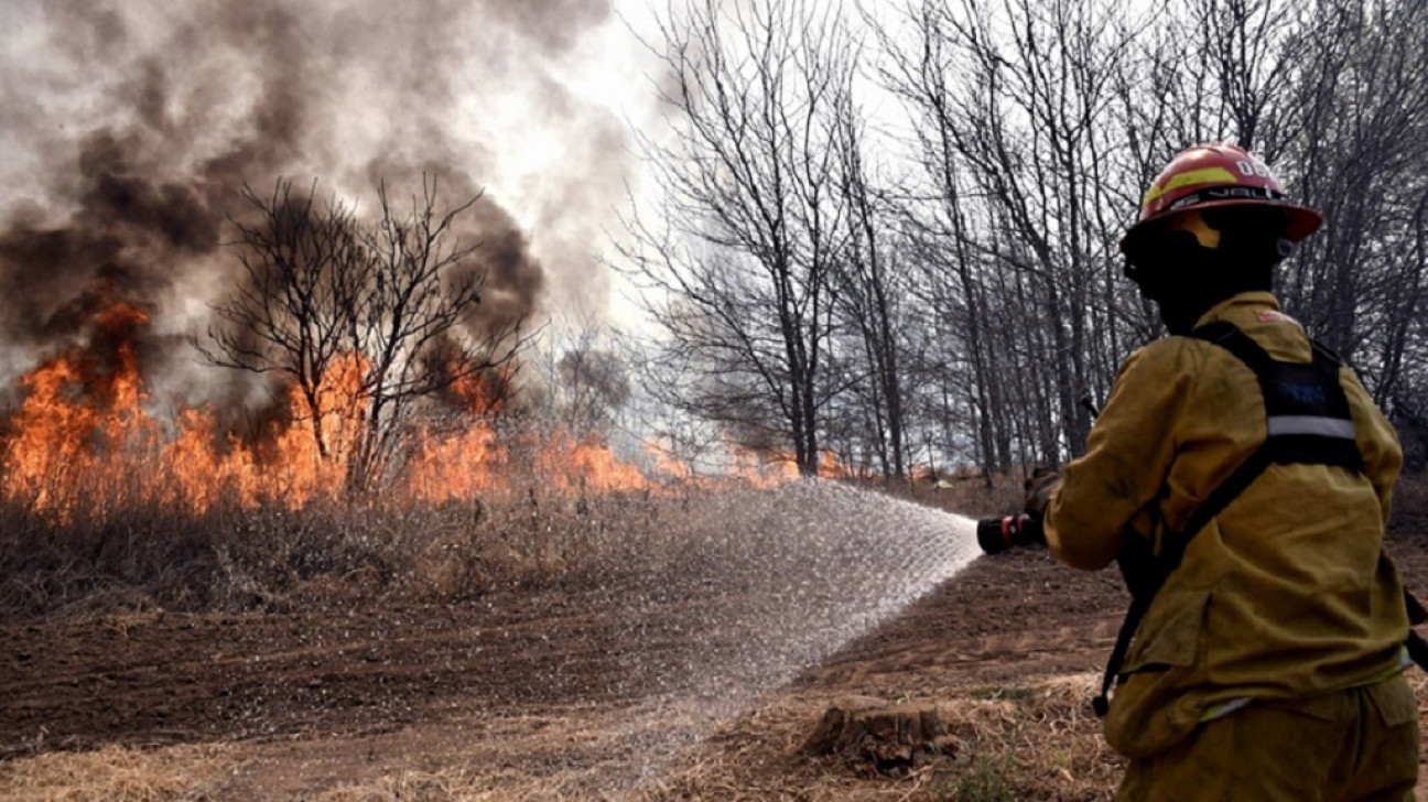 imagen Las olas de calor y los incendios forestales empeorarán la calidad del aire 