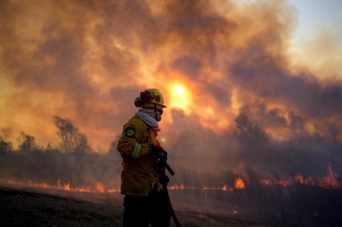 imagen Incendios en el Delta del Paraná: suman más recursos, pero hay nuevos focos activos