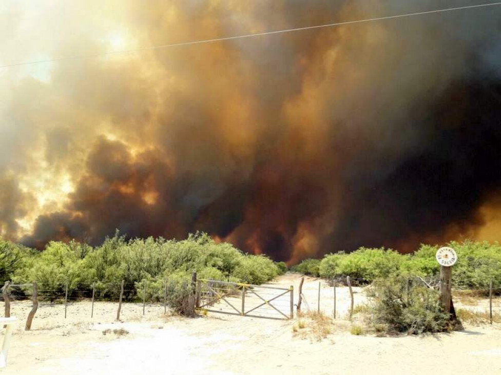 imagen Ya son 130 mil las hectáreas afectadas por los incendios en el sur