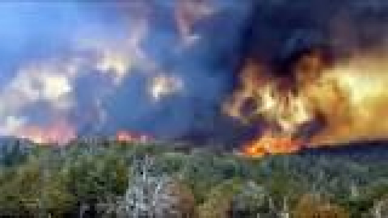 imagen Por los incendios en la Patagonia, impulsan un sistema de respuesta