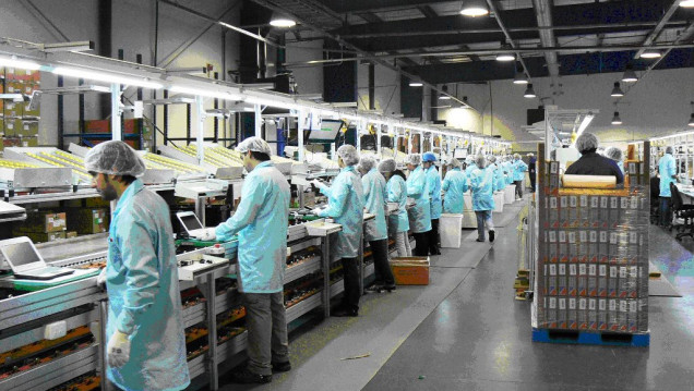 imagen La industria sufrió su cuarta caída consecutiva: cedió el 5,6 % en agosto