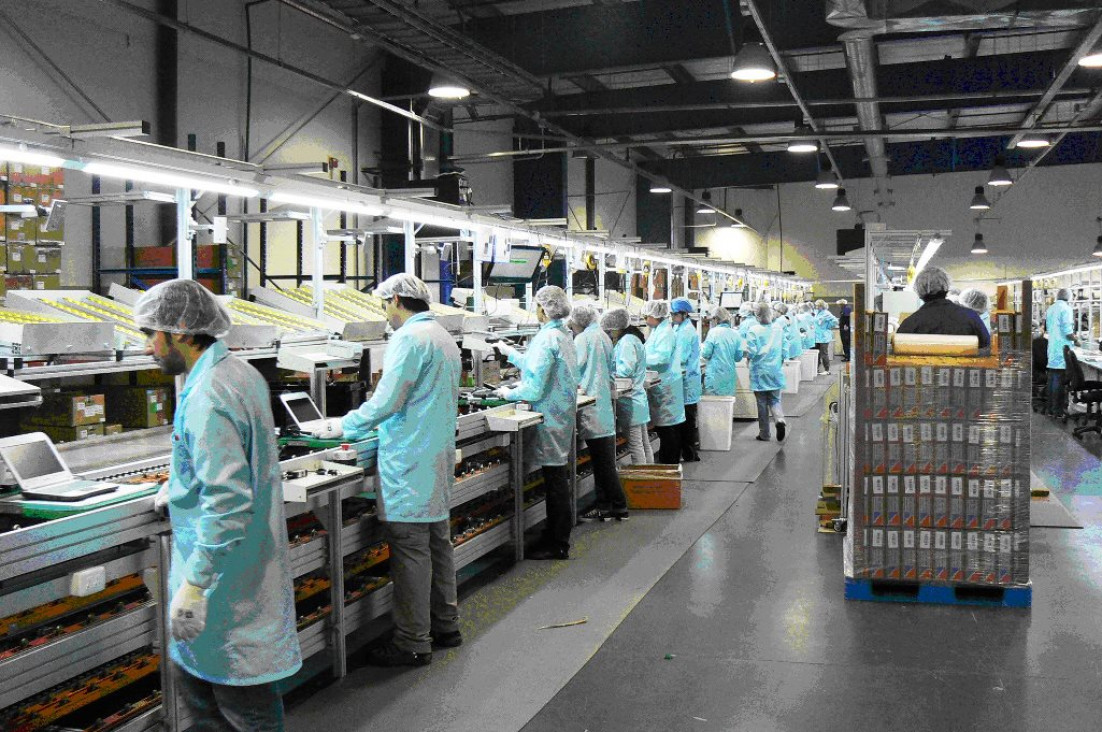 imagen La economía cayó el 1,6 % en agosto y acumula 5 meses en baja