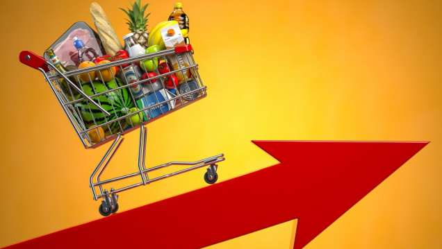 imagen La inflación de diciembre fue de 4,9% en Mendoza y la suba interanual superó el 96%