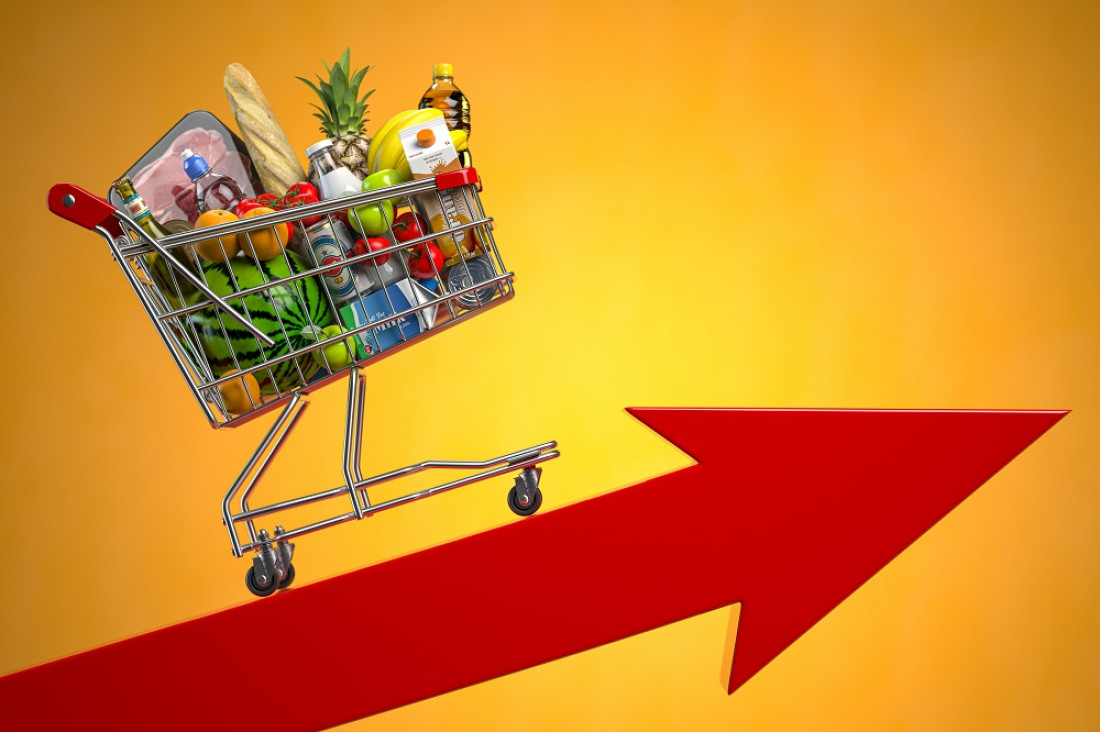 imagen La inflación de diciembre fue de 4,9% en Mendoza y la suba interanual superó el 96%