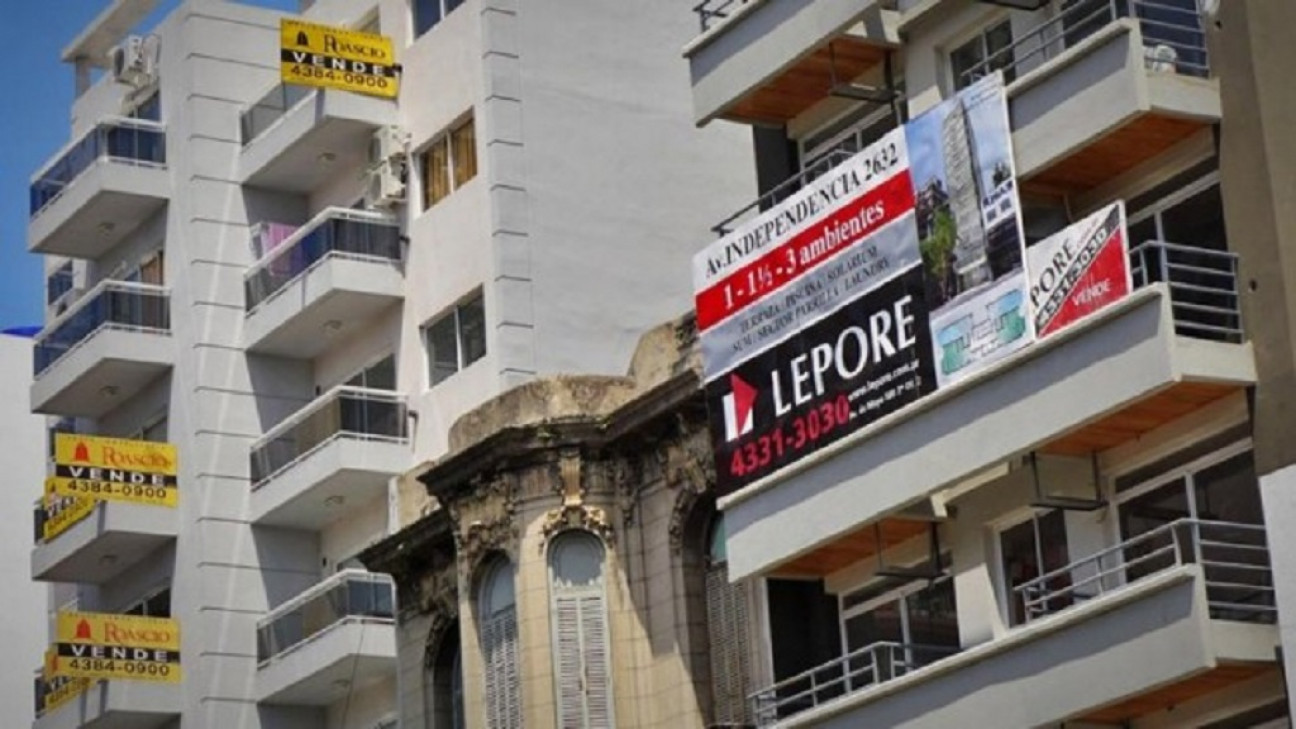 imagen Alquileres: cruce entre Protectora y corredores inmobiliarios