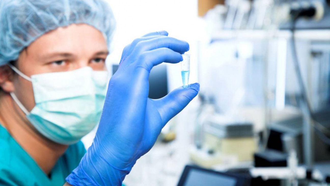 imagen Cómo funcionan los nuevos descubrimientos en inmunoterapia